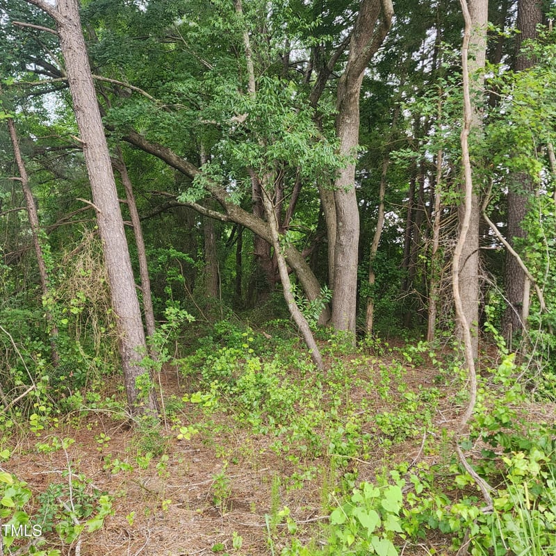 13124 N Nc Hwy 96, Zebulon, NC 27597