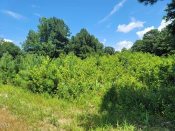 13124 N Nc Hwy 96, Zebulon, NC 27597