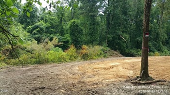 1313 Acadia St, Durham, NC 27701