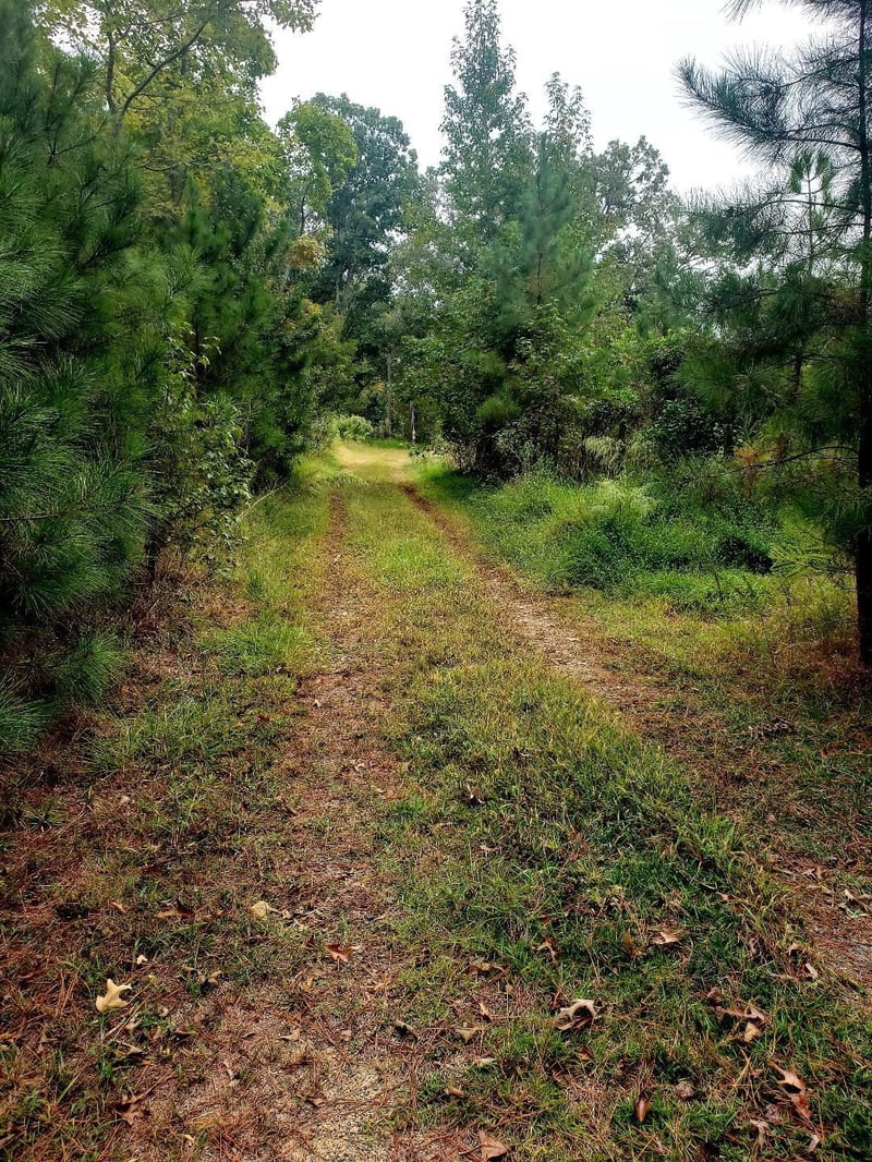 1313 Olive Branch Rd Lot see info, Durham, NC 27703