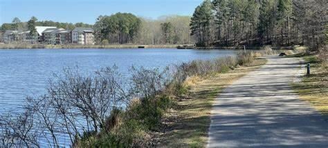 1314 English Cottage Ln, Cary, NC 27518