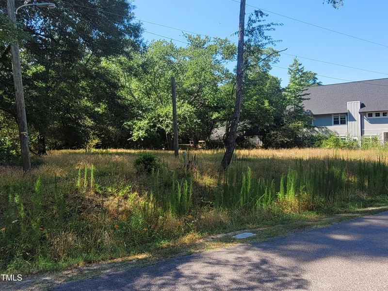 1316 Carp Rd Lot 4, Raleigh, NC 27610