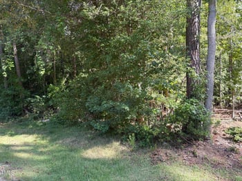 1316 Sagamore Dr, Louisburg, NC 27549