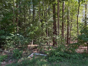1316 Sagamore Dr, Louisburg, NC 27549