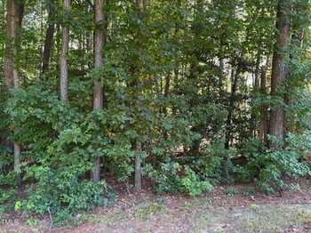 1316 Sagamore Dr, Louisburg, NC 27549