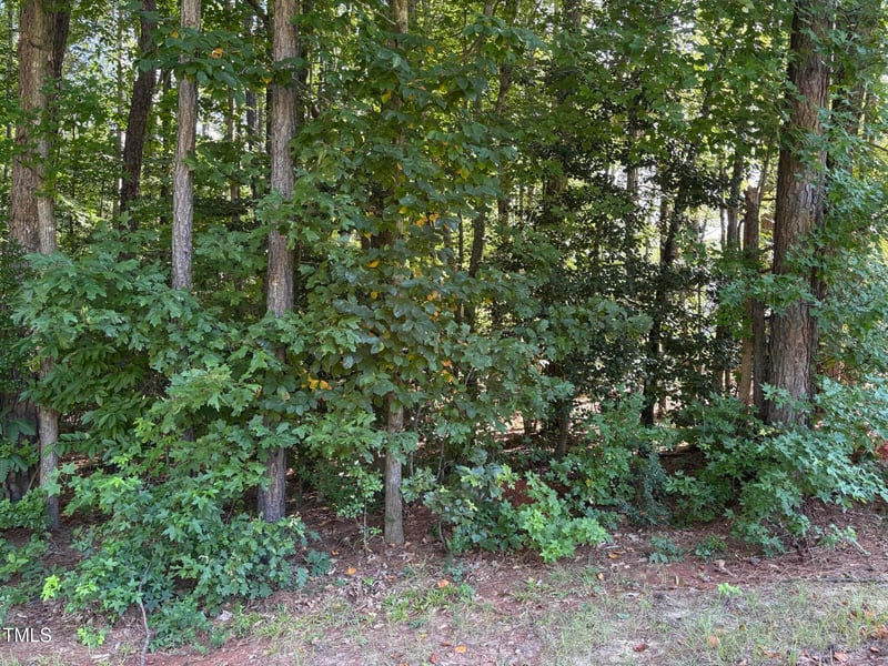 1316 Sagamore Dr, Louisburg, NC 27549