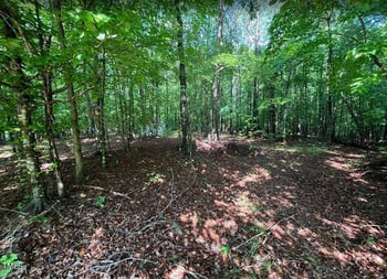 13165 Thrasher Ct, Zebulon, NC 27597