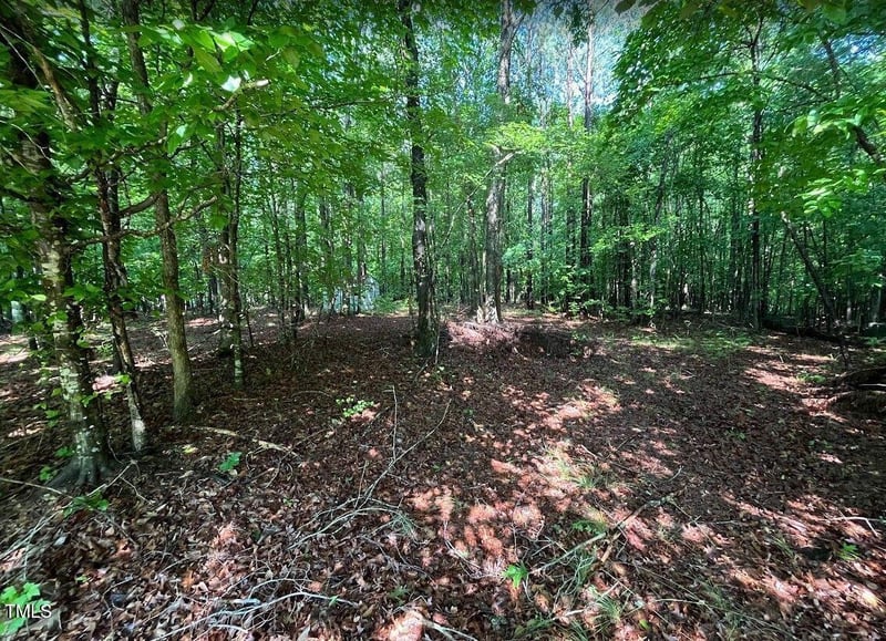 13165 Thrasher Ct, Zebulon, NC 27597