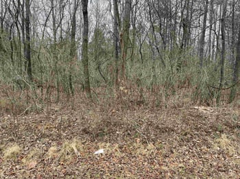 1317 Rock Quarry Rd Lot 1, Mebane, NC 27302