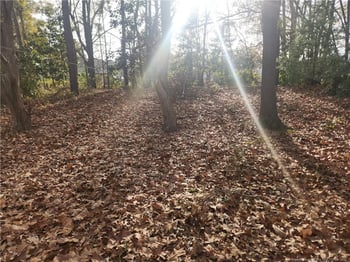 132 Bremer St, Fayetteville, NC 28303