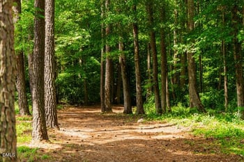 132 Deardom Way, Chapel Hill, NC 27516