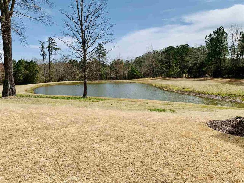 132 Lake Refuge Ct, Angier, NC 27501