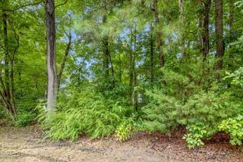 132 Sanair Ct, Apex, NC 27502