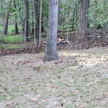 132 Waiters Way, Youngsville, NC 27596