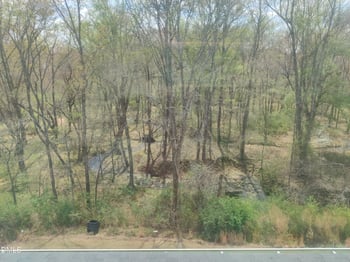 132 Woodstaff Ave, Wake Forest, NC 27587