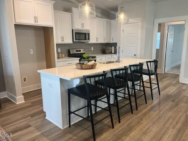 1320 Barreto Dr #2420, Wendell, NC 27591