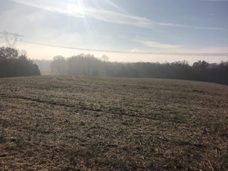 1321 Justice Trl, Snow Camp, NC 27349