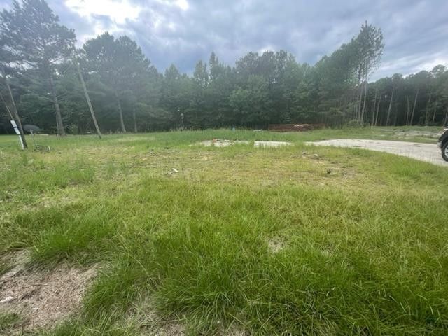 1324 Brogden Rd Lot 1C, Smithfield, NC 27577