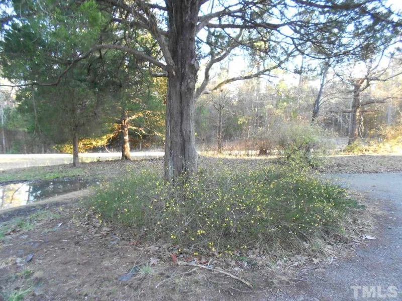 1328 Crawford Dairy Rd Lot 4, Pittsboro, NC 27312