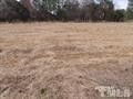 133 Bunkies Ln, Dunn, NC 28334