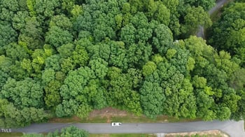 133 Osage Dr, Louisburg, NC 27549