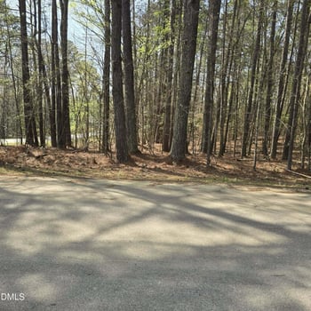 133 Sequoia Dr Lot 2315/2316, Louisburg, NC 27549