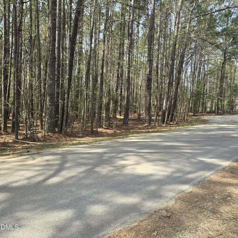 133 Sequoia Dr, Louisburg, NC 27549