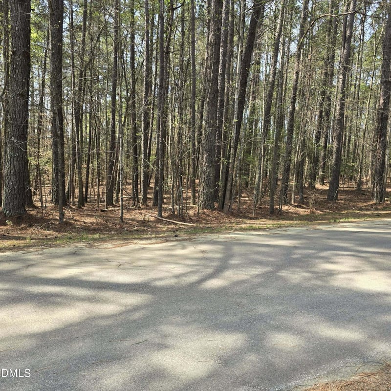 133 Sequoia Dr, Louisburg, NC 27549