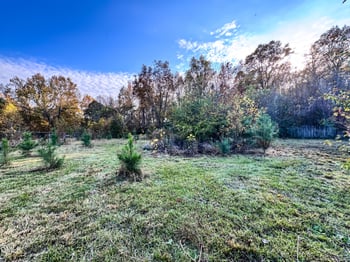 1330 Campground Rd, Selma, NC 27576