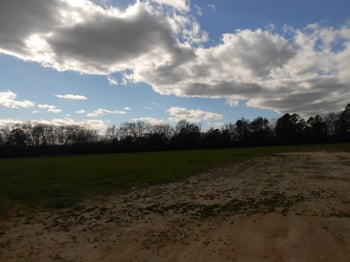 1337 Cleveland Rd Lot farm, Smithfield, NC 27577