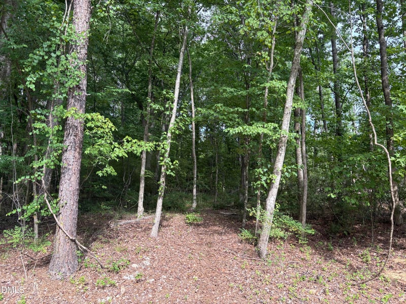 134 Mohawk Dr Lot 2296, Louisburg, NC 27549