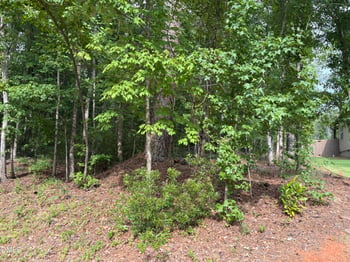134 Mohawk Dr Lot 2296, Louisburg, NC 27549
