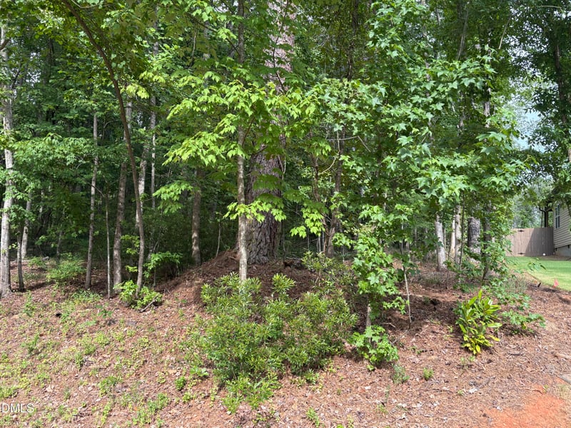 134 Mohawk Dr Lot 2296, Louisburg, NC 27549