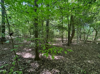 134 Red Dog Dr, Louisburg, NC 27549