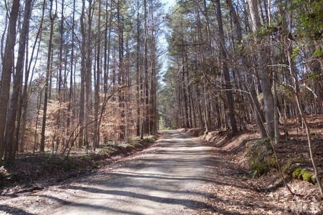 13409 New Light Rd, Raleigh, NC 27614