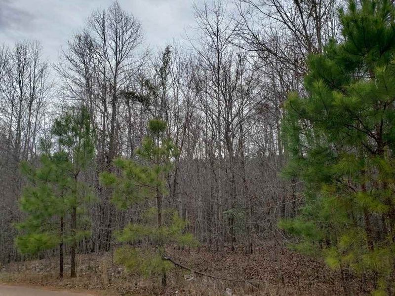 13425 Eagle Ridge Dr, Zebulon, NC 27597