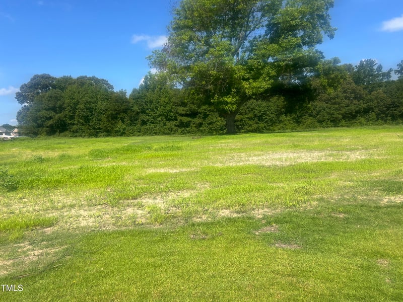 135 White Memorial Rd Lot 1, Angier, NC 27501