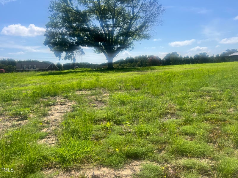 135 White Memorial Rd Lot 1, Angier, NC 27501