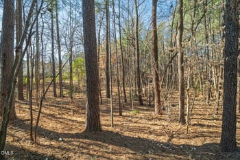 136 Orchard Park Dr, Cary, NC 27513