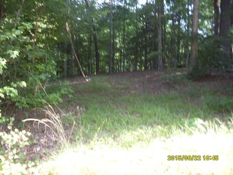 136 Red Wing Dr Lot C1506, Louisburg, NC 27549