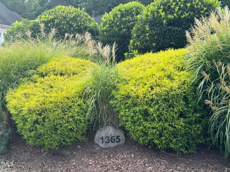 1365 Bradford Pl, Pittsboro, NC 27312