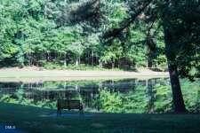 1367 Maryland Ct, Sanford, NC 27332