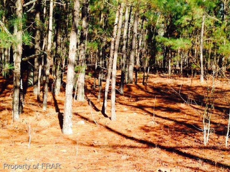 137 Maple Leaf Ct, Lillington, NC 27546