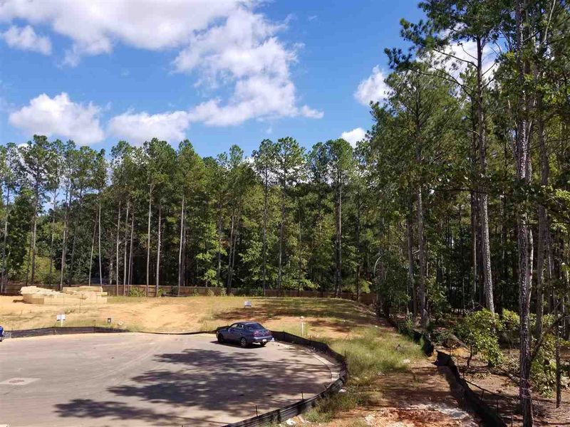 137 Red Bark Ct, Apex, NC 27539