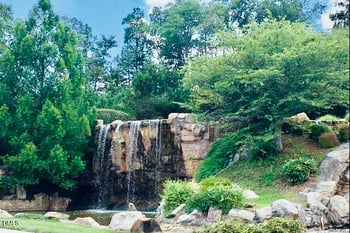 138 Legacy Falls Dr, Chapel Hill, NC 27517