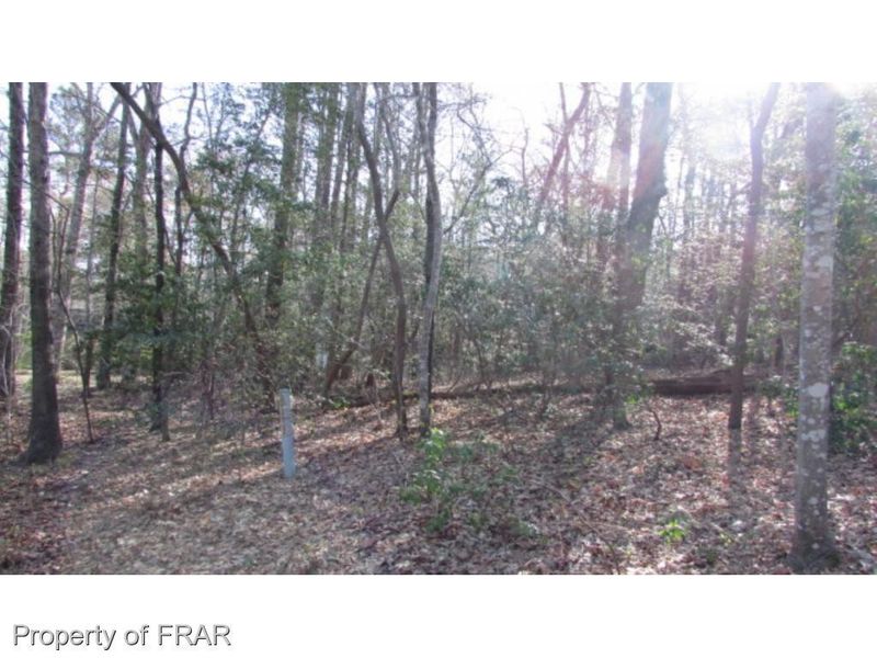 1385 Illinois Ave, Sanford, NC 27332