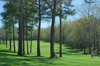 139 Hatchet Cv, Louisburg, NC 27549