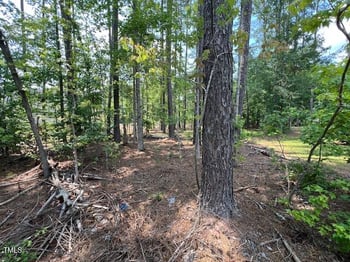 139 Ottawa Dr, Louisburg, NC 27549