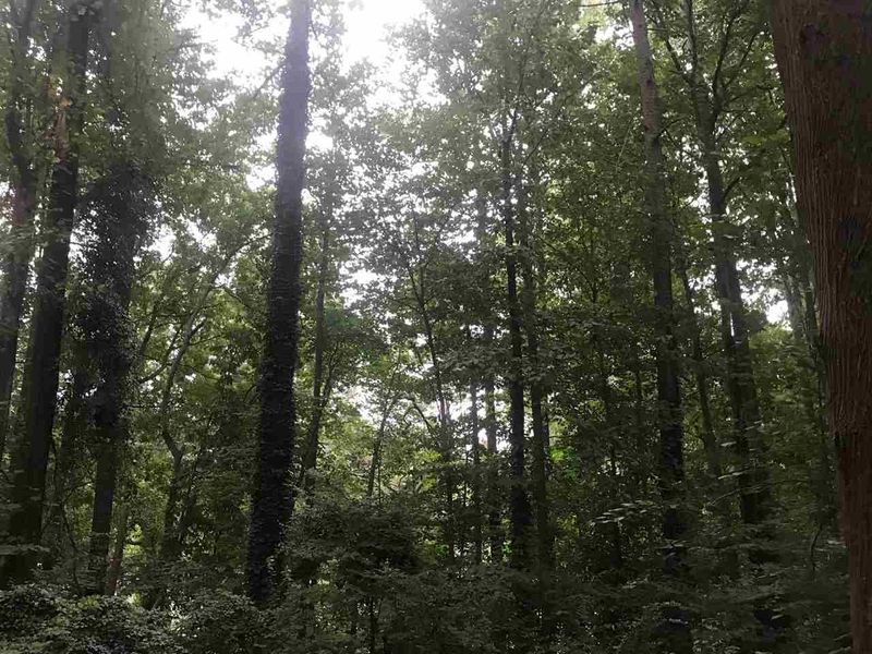 14 Colony Rg Lot 14, Clayton, NC 27520