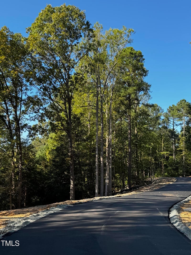 140 Noble Reserve Way Lot 3, Pittsboro, NC 27312